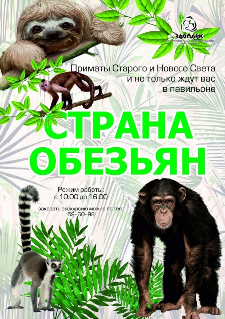 tR-j-E77MMUiJIs4RzjUu6wbEFBr1zCDbh-v25JqbkR7DnWT6kyrXpuUiiTcPpME04R2j145nJ8Ln9RRmXcQ_U6z.jpg