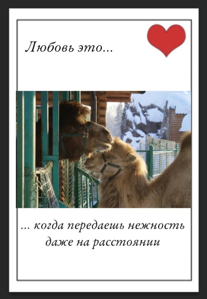 lnAcQql6ce25N7UgNYFpiHuLU9IHheEpJeh2WQoEGMlAgwaIus0MrUXh699h5cBBMWEvSaSJL9CKNAMwtZ8FR-4u.jpg