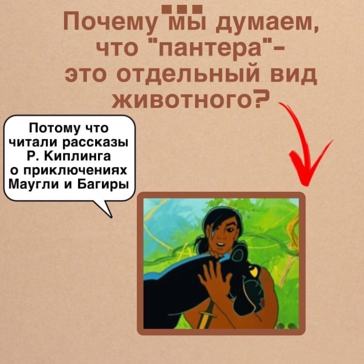 _y4RrX4YsZUJgS5zA7DRSmWULzkKxQ7GMNrK9Q8WTHour159Jbsvzik8GiajZC8HWhSZ1MORrCwJET4r4FEoIueh.jpg