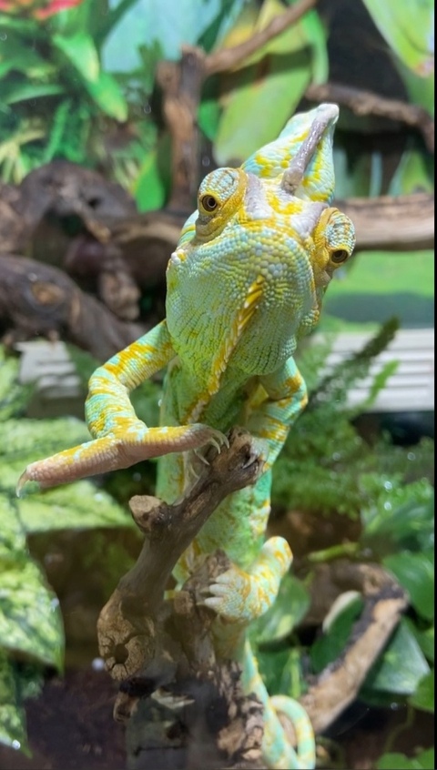 e0QPrpJEHZxyZbqcgS6tkfFqvyT_lhtCJWpVpwCpcmrqruldbkyT1l4oRXwAPXJknvPmQvs6331buhab_e3wvHBx.jpg