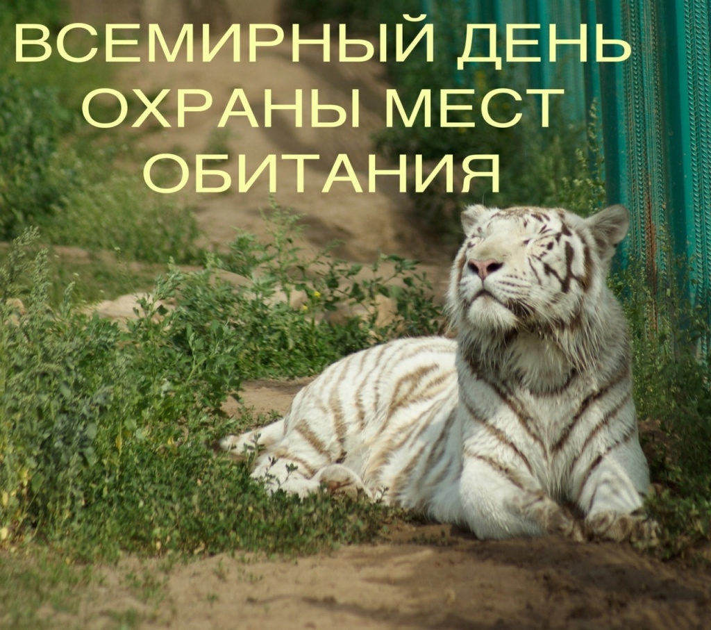 4-8iUnNa5sJpNdHBG3cdVso37b_IkkmvcgPW6mTenG0sBOB7h00czNav2eYo8tRWfk2e_F9i21CIkvewH1gYbXIW.jpg