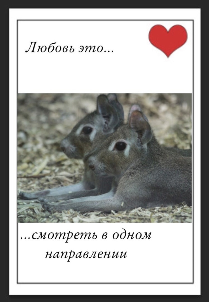 -CQSyChIFpE7jk2GuUdjw4FMMrftInC29aShC4RYUjXzHDlkQcXmUOPWmra9MLxE69CI39wa4mAncXXMV6eSPeXw.jpg