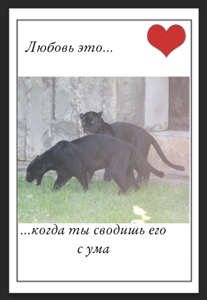 rzWl9Ekbo2s2Tx2iRe_cHD54k9qVAuqiFNJZBxKV2NiFvz8GGyMNuLfzNHC_J6FAa70rkMMbDxTwyZ6safyGkkmb.jpg