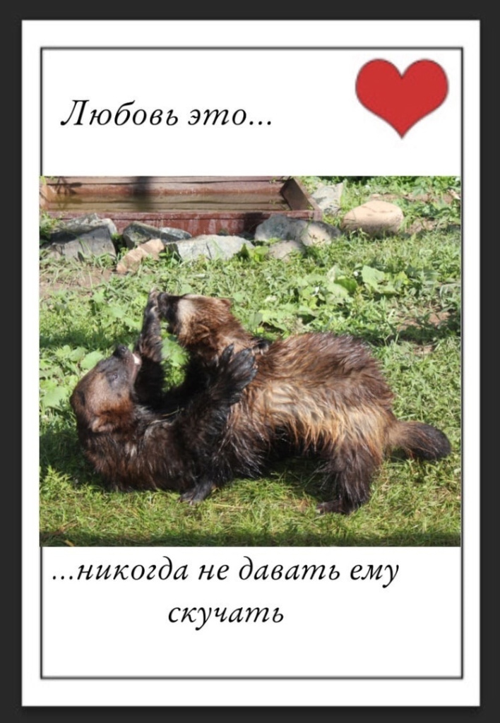 D5M4ISnITBqWcehaSYoPp66IquzF63FH3WJcrgfpFGJ0EHnE78_SnR5YeYn3Pn400eUwWqKK7Zxw8RWavInGwJbU.jpg