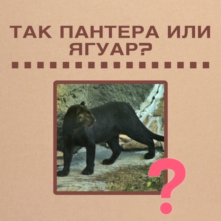 r5KZ1tMxAR4axiyk2nMhICbSO3R3frQniaebtTEkKNlGDAfFq_CYCaCRqBCAxsilnWMFT5ez8oL1col6mQGzDwkD.jpg