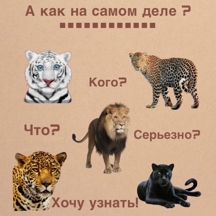 YYzj7wKS7qf-L6uUDzpwHRoAO4Ns8_pFO_WgC4Bq77jfmUH_1iF7iRojvuj6Gxfzu3GtaTmk367CTG_1s2D29ba_.jpg