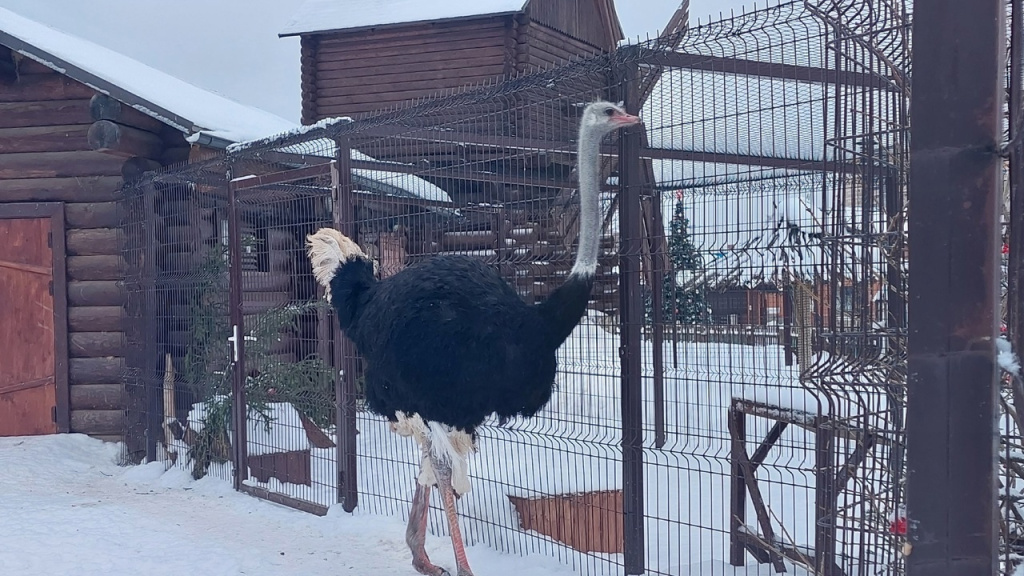 YWdqtM2x5WK8oAuMPchmJnyH3n2sKi16kXDarRp3pxf7IZg7QYLznGfbRhY7xs75OezvAlbzVPGvogcw5d6HzJVH.jpg